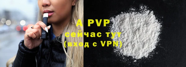 PSILOCYBIN Аркадак