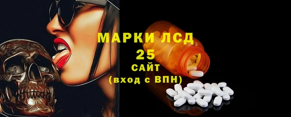 PSILOCYBIN Аркадак