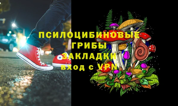гашик Арсеньев