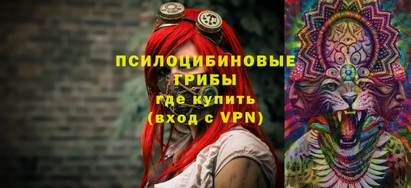 гашик Арсеньев