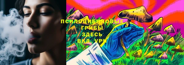 ПСИЛОЦИБИНОВЫЕ ГРИБЫ Армянск