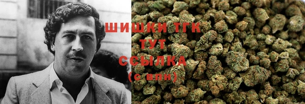 PSILOCYBIN Аркадак