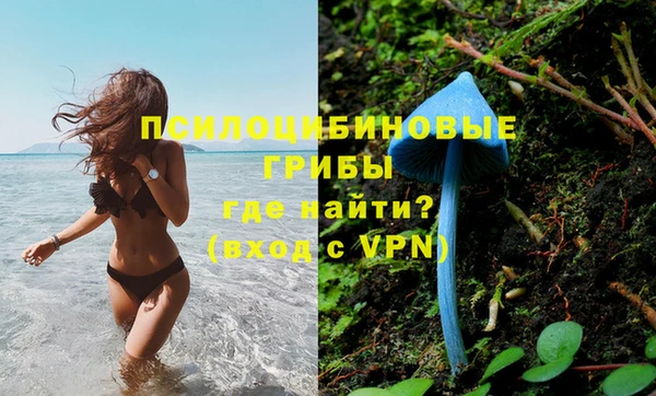 PSILOCYBIN Аркадак