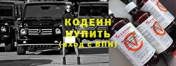 гашик Арсеньев